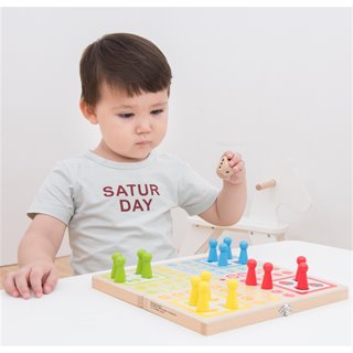 Ludo game